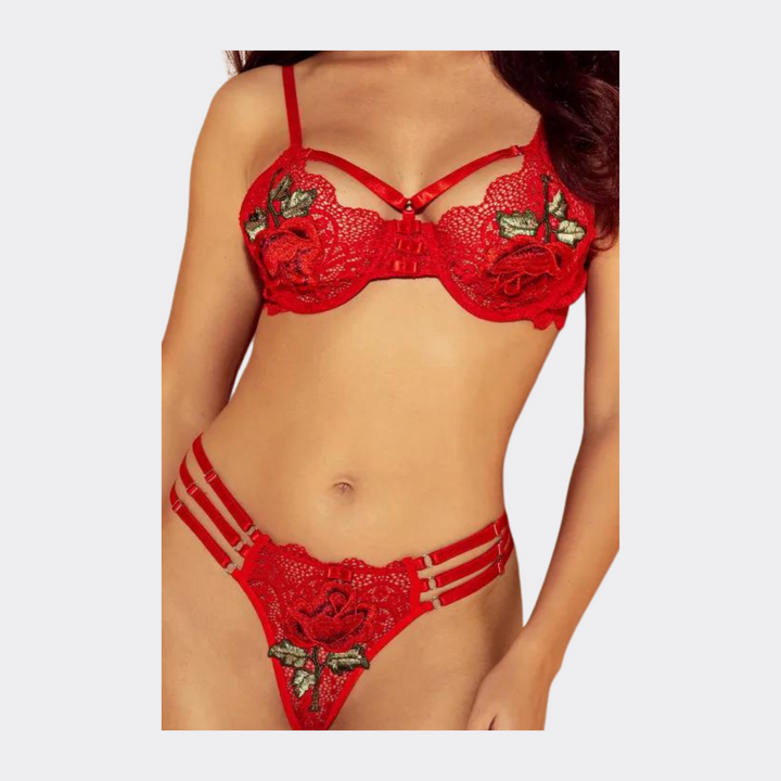 Embroidery Floral Lace Lingerie Set - Red