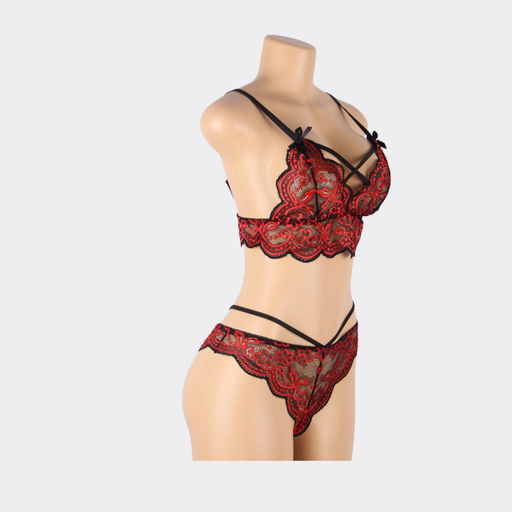 Lingerie Florace Lace Embroidery Bra Set - Red