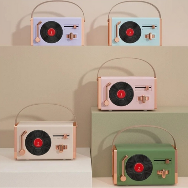 Portable Vinyl Record Speaker